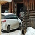 Аватара пользователя
